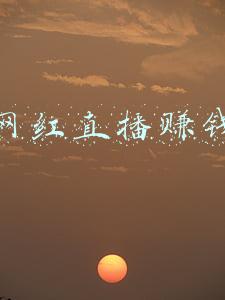 抖音网红直播赚钱排名