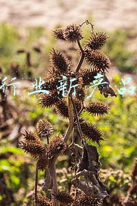 新兴行业新产品推广