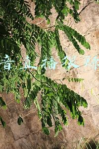 抖音直播很赚钱是真的吗(在抖音里，很多宝妈创业逆袭，说很赚钱是真的吗？)
