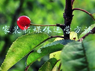 家装新媒体运营方法