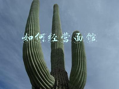 如何经营服装店-如何经营服装店与管理
