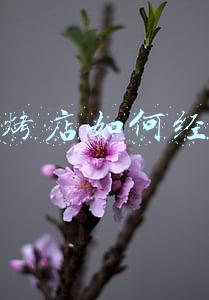 烧烤店如何经营好,烧烤店怎么才能经营好啊