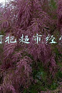 如何把超市经营好