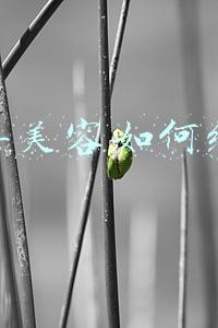 汽车美容软件价格（汽车美容软件）