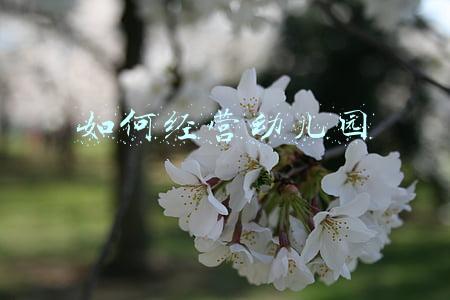 如何经营幼儿园家长群 幼儿园家长群如何管理