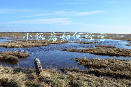 小饭店怎么经营才能火爆；小饭店如何经营的红火