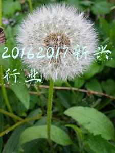 20162017常州初三物理期末(初三物理：上册期末物理知识点汇总，建议保存)
