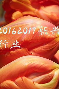 20162017女排联赛明星赛颁奖(“超·未来”2016-2017中国排球联赛颁奖盛典举行)