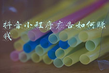 抖音小程序广告如何赚钱