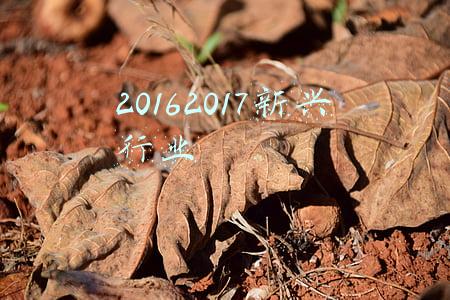 20162017新兴行业