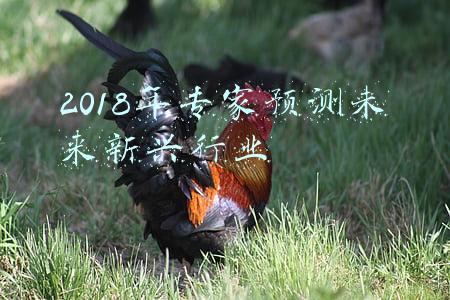 最新行业趋势(2022环保行业十大趋势)