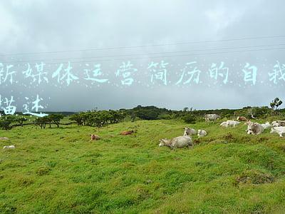 新媒体运营自我介绍范文通用(干货篇｜留学生该如何准备实习？)