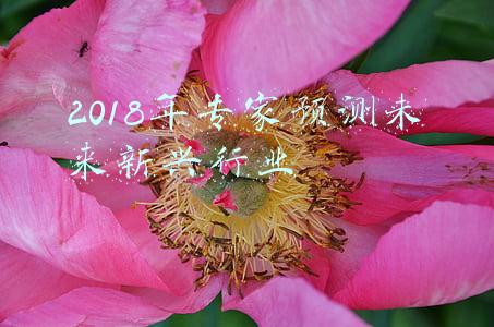 2018年专家预测未来新兴行业