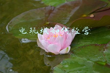 电玩城经营范围-电玩城经营范围怎么写