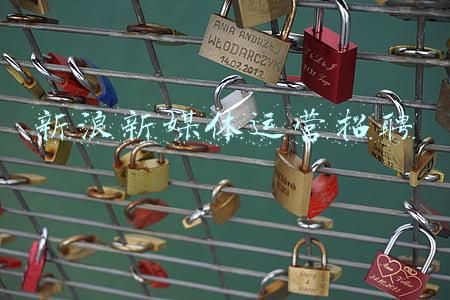 新媒体运营总监招聘(看直播也能找工作！1月20日，我们相约“云端”)