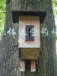新媒体运营的视频