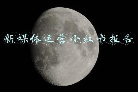新媒体运营小红书报告