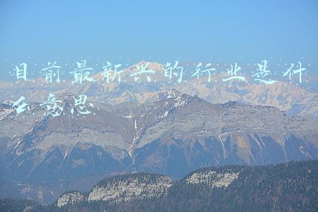 目前最新兴的行业是什么意思