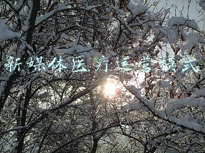 新媒体医疗运营模式