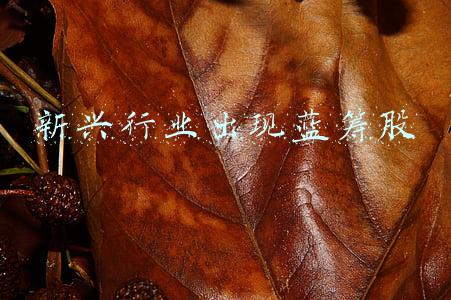 新兴行业出现蓝筹股