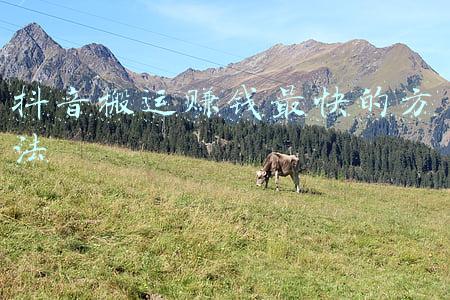 急救搬运方法(身边有人突然昏倒，你会用心肺复苏救他吗？1分钟掌握急救常识要领)