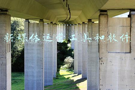 新媒体运营工具和软件