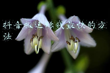 搬运伤员的方法(你知道脊柱损伤患者如何搬运吗？120医护人员的“教科书式”示范来了)