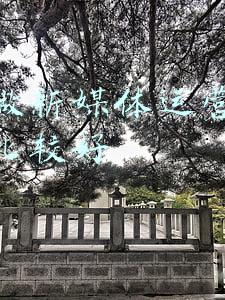 杭州新媒体运营公司(杭州发布“紧缺专业人才需求目录”，180个岗位最缺人！你符合条件吗？)