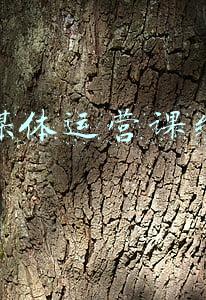 新媒体运营课线下