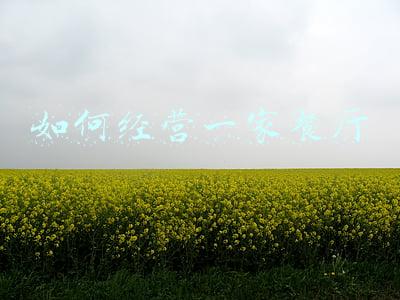 餐厅合作经营协议(餐厅合作经营协议 单位)