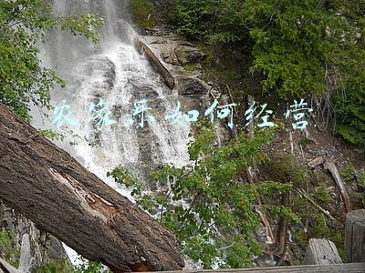 农家乐经营与管理书籍_农家乐经营与管理
