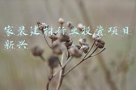 家装建材行业(浅谈装修建材行业的出路)