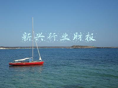 新兴行业财报