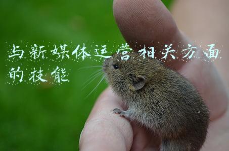新媒体方面的培训(新媒体训练营招募！30天玩转内容电商，官方课程倾囊相授)