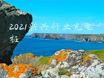 2021新兴行业充电桩