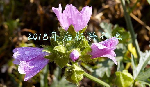 2018年后新兴行业