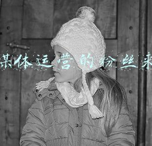 新媒体运营的粉丝来源