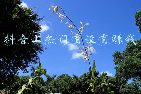抖音视频上热门了能赚钱吗(抖音视频，160万播放量能赚多少钱？)