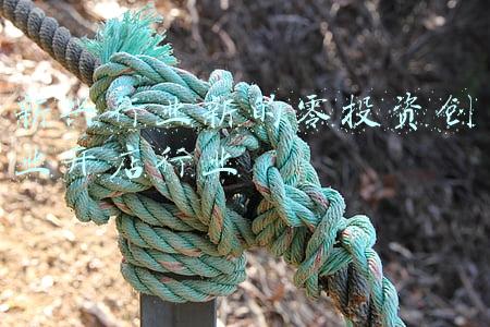 零投资的创业(如何当一名虚拟主播？零元创业、投入百万都可行，还需这些利器)