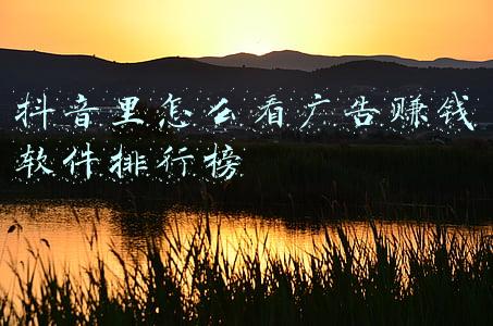 看广告赚钱app排行榜(抢票大战：加速包之下的竞价排名游戏 抢票软件生意经再起底)