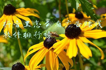抖音怎么搜索广告推荐(抖音怎么巧妙的植入广告(植入广告的7种小技巧))