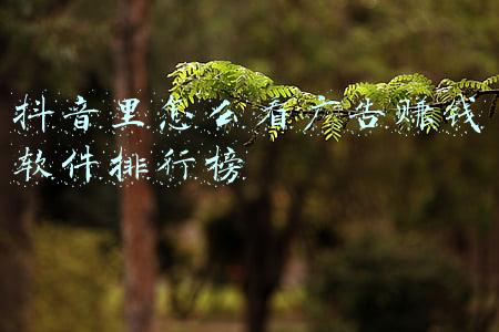 抖音看广告怎么可以挣钱(我把《红楼梦》搬到抖音，一天收入5万多，2021“傻瓜式赚钱”神技能)
