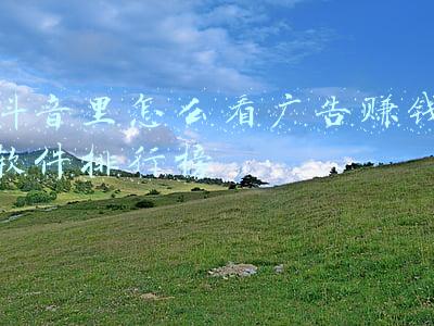 抖音里怎么看广告赚钱软件排行榜