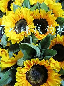 奥比岛挂机赚钱的地方(这座湾区的宝藏岛，太惊艳了)