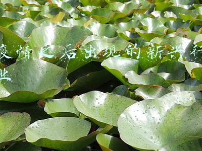 疫情之后出现的新兴行业