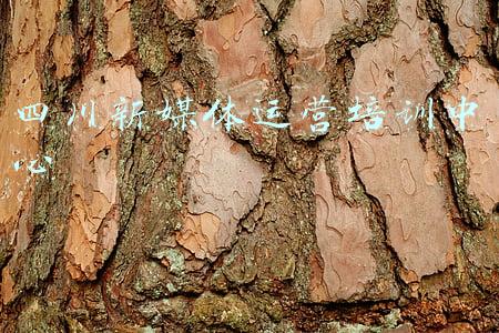 四川主流媒体最新排名(四川2021年度\u0026#34;十佳\u0026#34;政务新媒体出炉！有你关注的吗？)