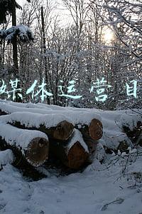 新媒体运营目标客户(做业务如何跟进好客户，增加客户数量的方法，前提是找出意向客户)