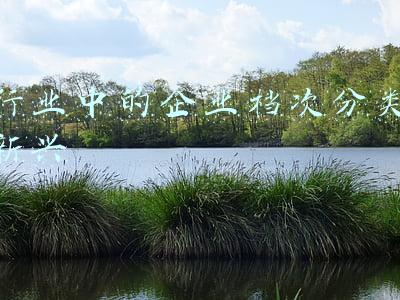 行业档次(我国高校被分为8个等级，前4个等级普遍好就业，你在第几等级？)