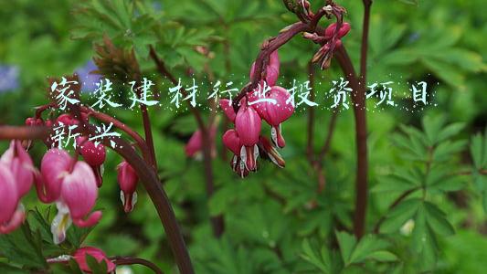 家装建材市场(出生入死！实地暗访46家建材市场，这份装修材料底价单终于到手！)