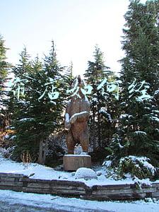 窗帘店的经营范围《窗帘店的经营范围怎么写》